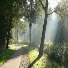 Схема вышивки «№177689»