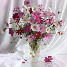 Схема вышивки «№177764»