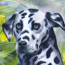 Схема вышивки «№177805»