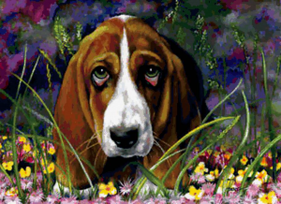 №177814 - животные, собака - предпросмотр