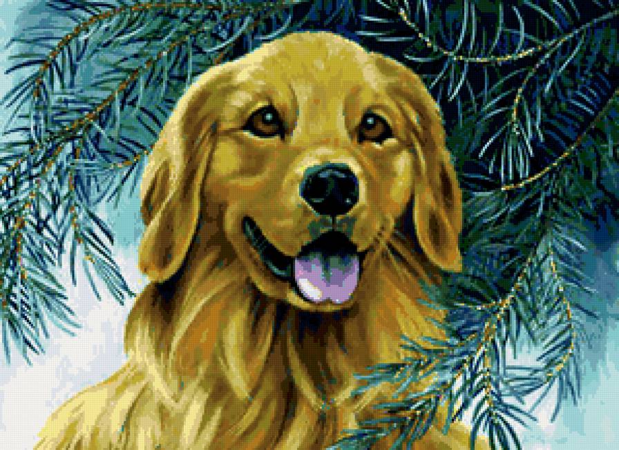 №177819 - собака, животные - предпросмотр