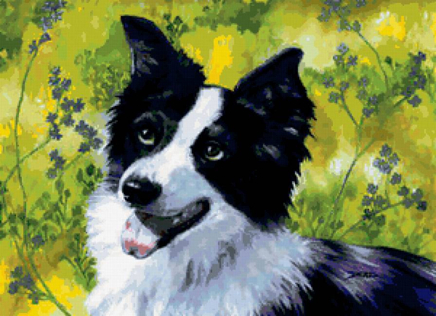 №177827 - собака, животные - предпросмотр