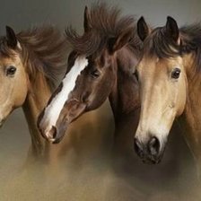 Схема вышивки «тройка»