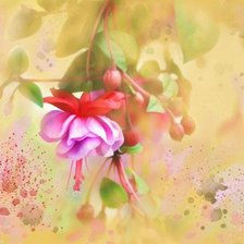 Схема вышивки «№178110»