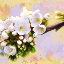 Схема вышивки «№178125»