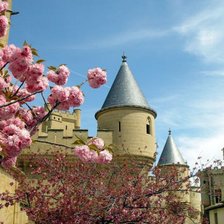 Схема вышивки «замки мира»