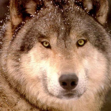 Схема вышивки «умный взгляд»