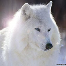 Схема вышивки «снежинка»