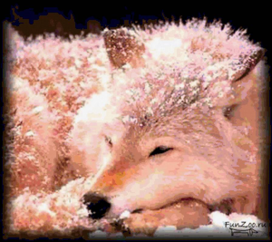 розовая - предпросмотр