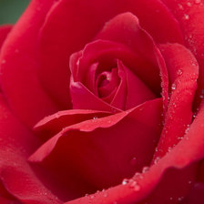 Схема вышивки «1»