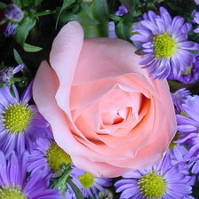 Схема вышивки «ромашки»