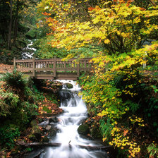 Схема вышивки «мост в лесу»