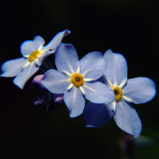 Схема вышивки «6»