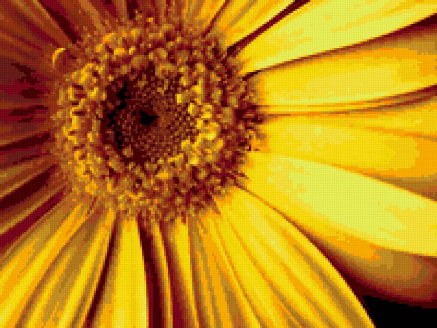 кусочек лета - цветы - предпросмотр