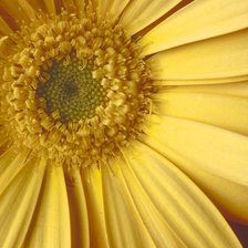 Схема вышивки «кусочек лета»