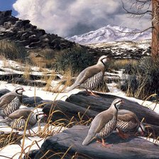 Схема вышивки «Серия : Птицы»