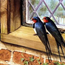 Схема вышивки «Серия : Птицы»