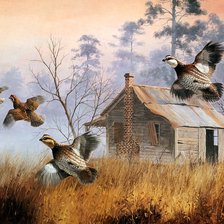 Схема вышивки «Серия : Птицы»