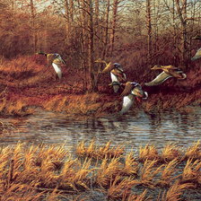 Схема вышивки «Серия : Птицы»