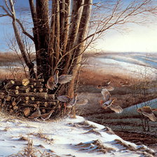 Схема вышивки «Серия : Птицы»