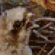 Предпросмотр схемы вышивки «Серия : Птицы» (№178774)