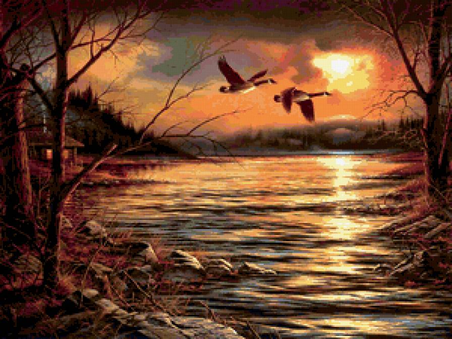 Серия : Птицы - пейзаж, утки - предпросмотр