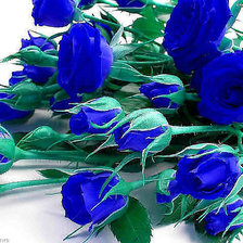 Схема вышивки «cj,kfpy»