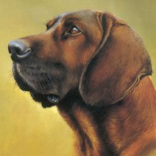 Схема вышивки «Серия : Собаки»