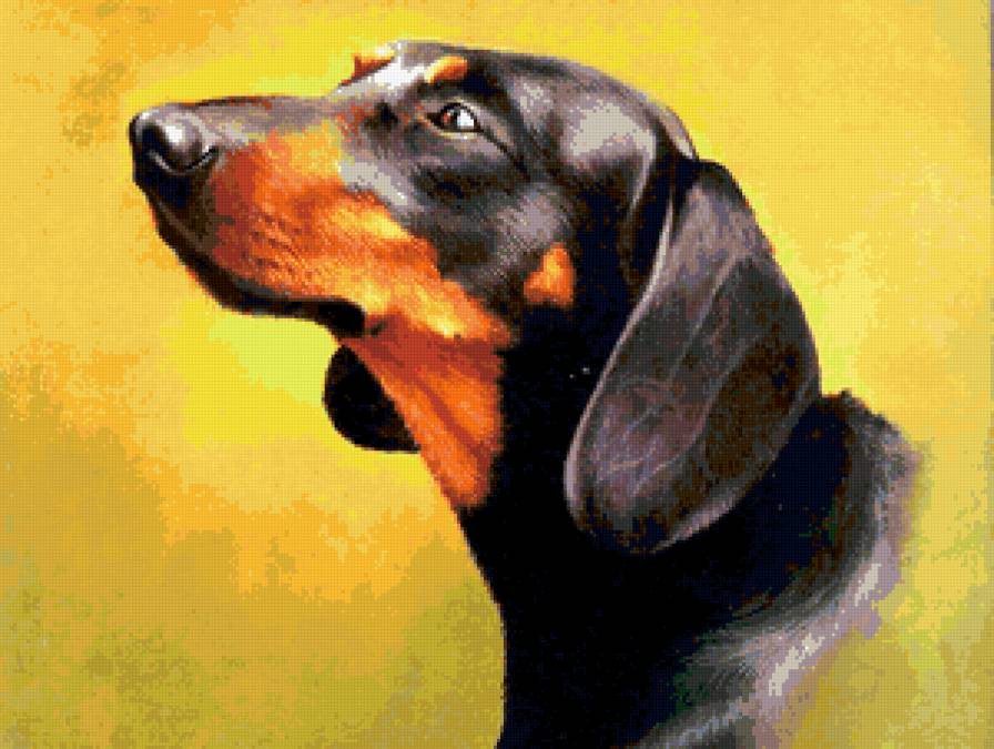 Серия : Собаки - предпросмотр