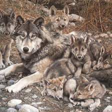 Схема вышивки «Волки»