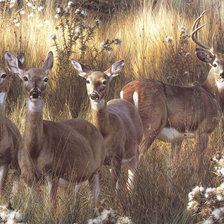 Схема вышивки «Олени»