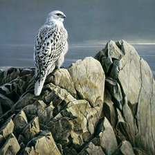 Схема вышивки «Серия : Птицы»