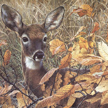 Схема вышивки «Молодой олень»