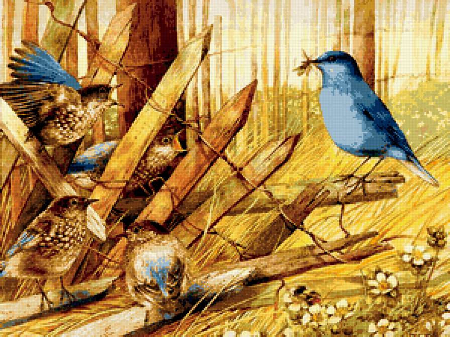 Серия : Птицы - предпросмотр