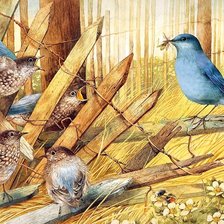 Схема вышивки «Серия : Птицы»