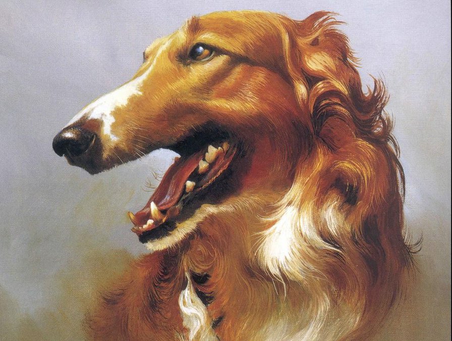 Серия : Собаки - оригинал