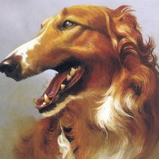 Серия : Собаки