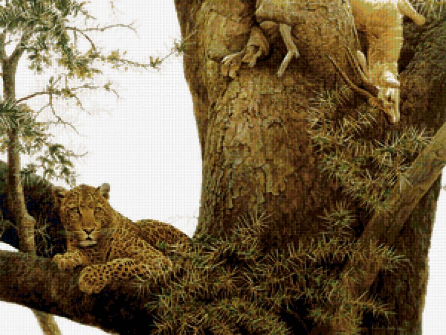 Леопард - леопарды, кошки, животные - предпросмотр