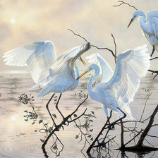 Схема вышивки «Серия : Птицы»