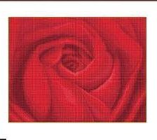 Схема вышивки «роза макс»