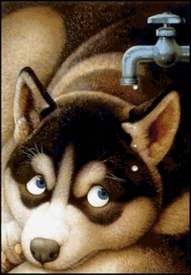 №179333 - собаки - предпросмотр