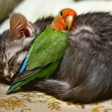 Схема вышивки «Дружба»