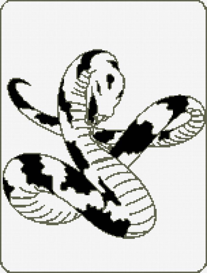 змея - змея, монохром - предпросмотр