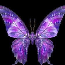 Схема вышивки «шикарная бабочка»