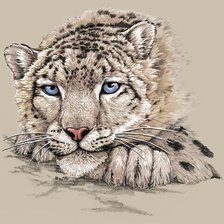 Схема вышивки «барс»