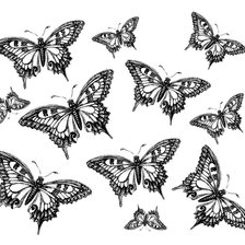 Схема вышивки «ч/б бабочки ассорти»