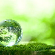 Схема вышивки «Макро»