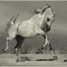 Схема вышивки «жеребец»