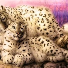 Схема вышивки «леопарды»