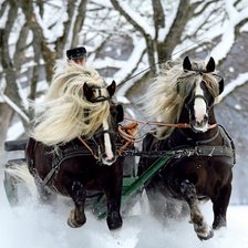 Схема вышивки «лошади»